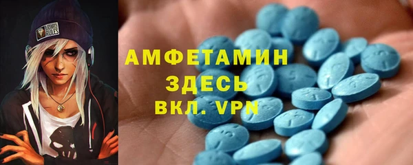 крисы Бронницы