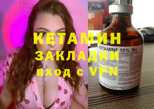 крисы Бронницы