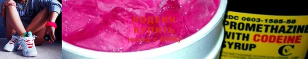 крисы Бронницы