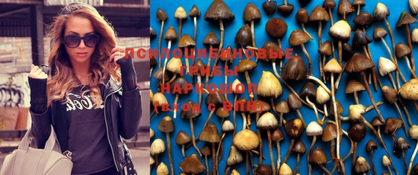 меф VHQ Бородино