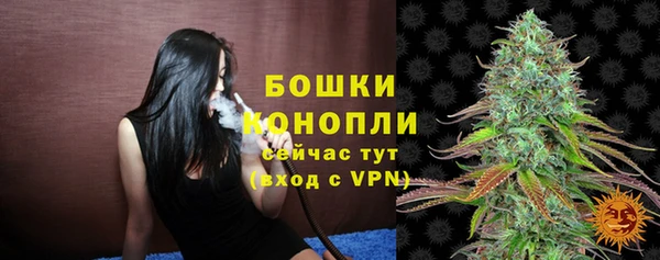 крисы Бронницы