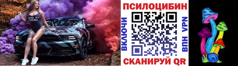 omg как войти  Мезень  Псилоцибиновые грибы Cubensis 