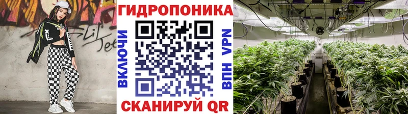 Конопля SATIVA & INDICA Мезень